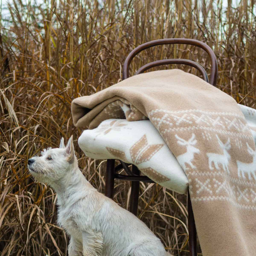 Beddeken van merinowol RENDEER - beige